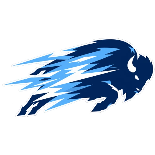 Buffalo Blizzard